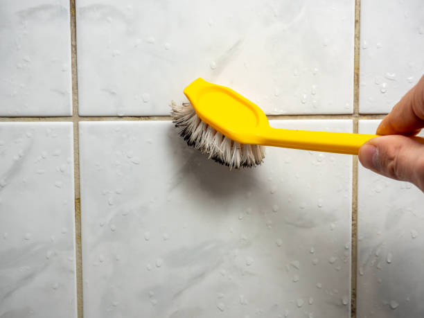 Best Insurance-Related Mold Remediation in Aspen Hill, MD